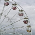 Waves of Adventure: This Week’s Surf Session Highlights from Portugal