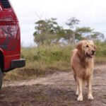 10 Must-Visit Locations for Van Lifers in Portugal: Adventure Awaits!