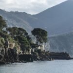 Catch a Wave: How to Start Your Surfing Journey in Portugal