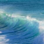 From Coast to Culture: The Heartbeat of Portuguese Surfing