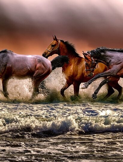 Portugal’s Surf Culture: An Insider’s Look at Learning the Sport