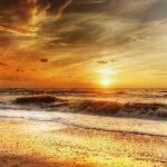 Boost Your Sales: How CRM Software Can Transform Your Sales Strategy