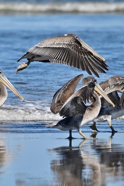 Surfing Portugal: Epic Spots to Ride the Atlantic Waves