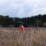 Portugal Surf Season: The Best Times to Hit the Beach!