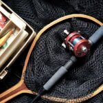 Catch the Wave: A Look at the Surfboard Community in Portugal