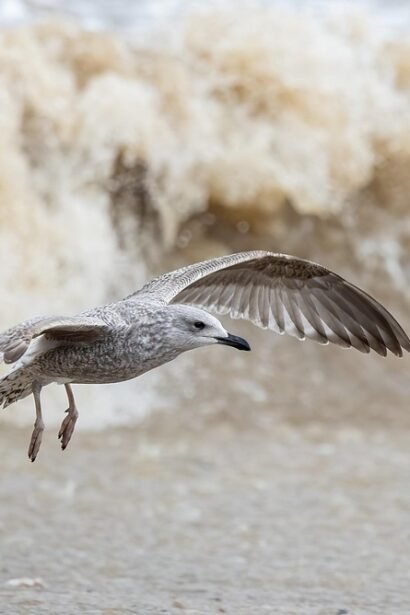 A World on a Plate: Exploring Global Flavors in Portugal’s Culinary Scene