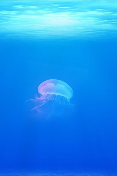 Chasing Swells: A Campervan Journey Along Portugal’s Surfing Paradise