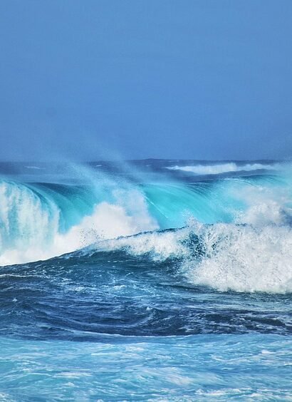 Discover Portugal on a Plate: A Week of Traditional Delights