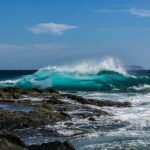 Feel free to mix and match or adjust any of these to better fit your vision!