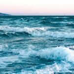 Taste of Portugal: Weekly Meal Inspiration for Every Foodie