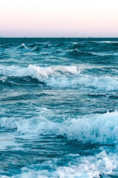 Taste of Portugal: Weekly Meal Inspiration for Every Foodie