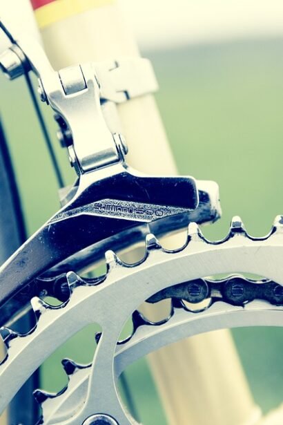 Portugal’s Surfboard Scene: A Beginner’s Guide to the Best Boards