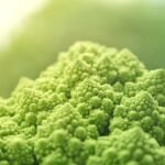 Surf, Sip, Savor: The Best Cafes for Wave Riders in Portugal