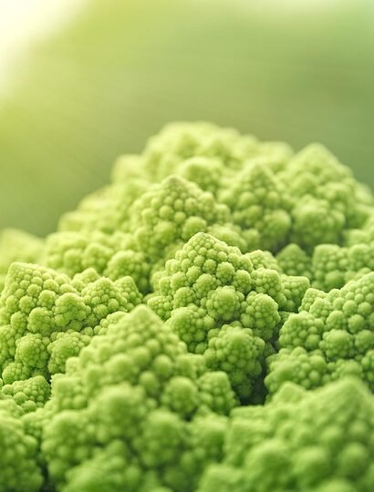 Surf, Sip, Savor: The Best Cafes for Wave Riders in Portugal