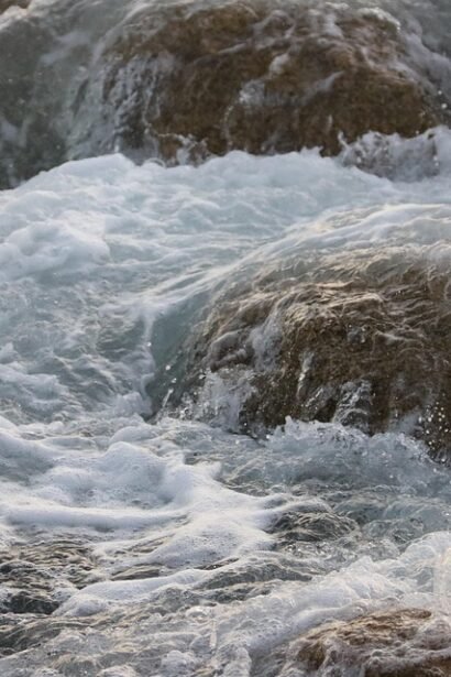 Experience the Magic: Top Spring Festivals You Can’t Miss in Portugal