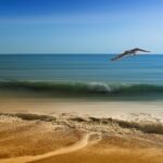 A Taste of Tradition: Exploring the Delights of Portuguese Breakfast