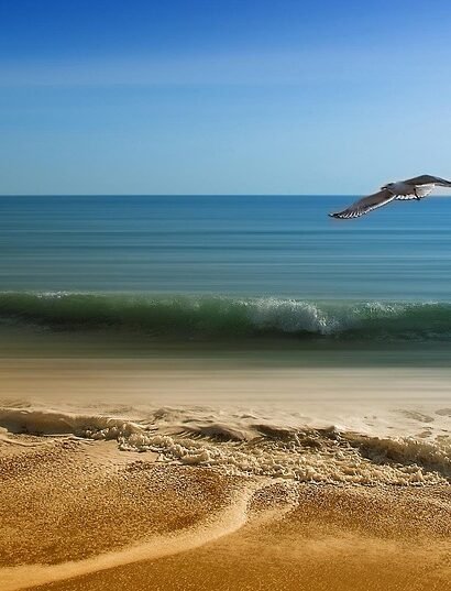 A Taste of Tradition: Exploring the Delights of Portuguese Breakfast