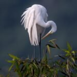 Surf, Eat, Sleep, Repeat: Your Guide to Campervan Life in Portugal