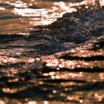 Bites of the Globe: A Guide to Global Gastronomy in Portugal