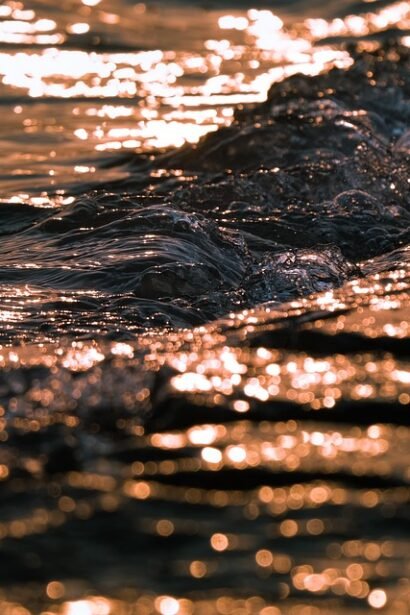 Bites of the Globe: A Guide to Global Gastronomy in Portugal