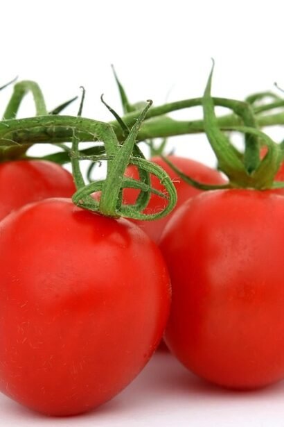 Tasting the Tide: Top Culinary Experiences in Portugal’s Surf Communities