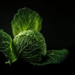 From Beach Breaks to Brews: A Guide to Portugal’s Surf Cafes