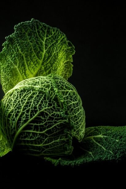 From Beach Breaks to Brews: A Guide to Portugal’s Surf Cafes