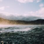 From Bacalhau to Pastéis de Nata: A Delicious Portuguese Meal Plan