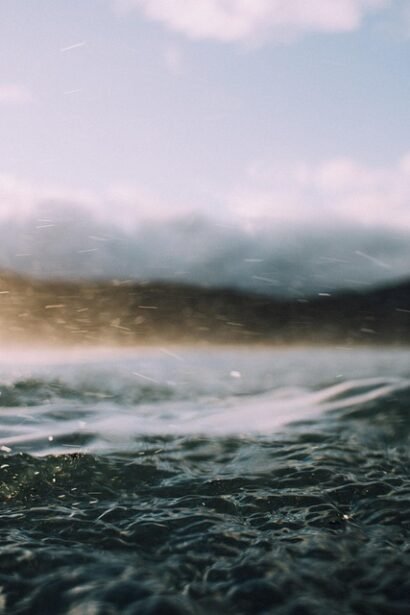 From Bacalhau to Pastéis de Nata: A Delicious Portuguese Meal Plan