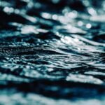 Flavors Without Borders: Portugal’s Rising Global Food Movement