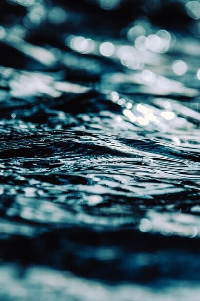 Flavors Without Borders: Portugal’s Rising Global Food Movement