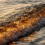 Rest Like a Pro: How Surf Breaks Boost Your Performance