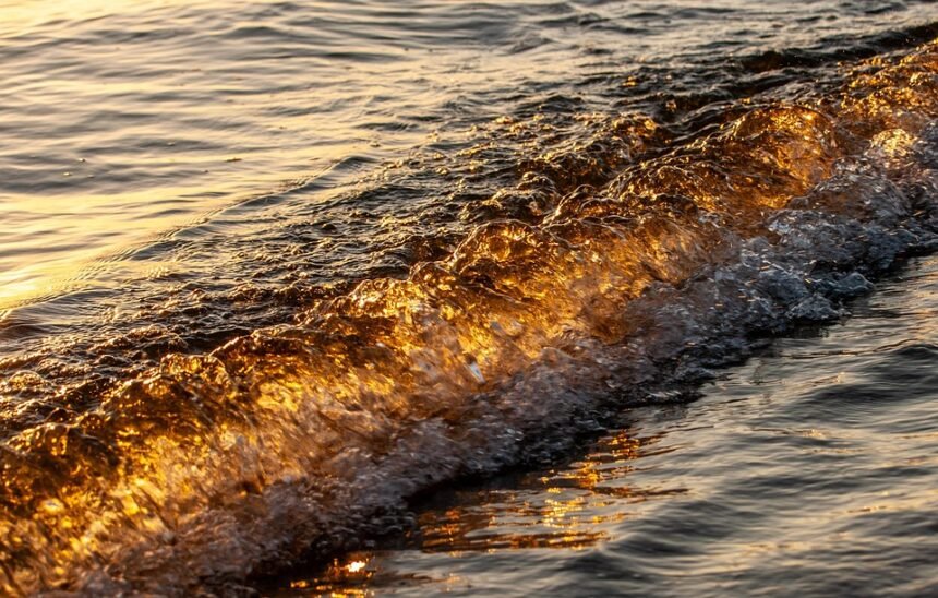 Rest Like a Pro: How Surf Breaks Boost Your Performance