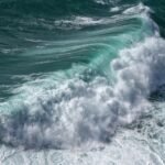 Riding the Wave of Recovery: The Importance of Rest Days for Surfers