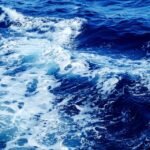 Blooming Traditions: Discover Portugal’s Most Enchanting Spring Festivals