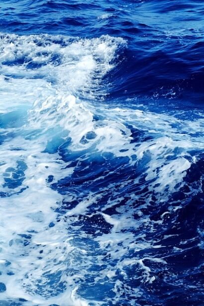 Blooming Traditions: Discover Portugal’s Most Enchanting Spring Festivals