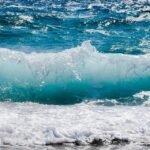 Pastel de Nata vs. Other Custard Tarts: What Makes Portugal’s Version Unique?