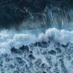 Pastel de Nata: The Creamy Legacy of Lisbon’s Iconic Custard Tart