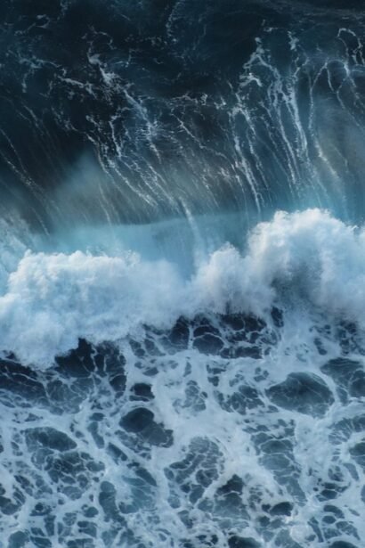 Pastel de Nata: The Creamy Legacy of Lisbon’s Iconic Custard Tart