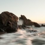 From Coast to Table: Fresh Seafood Dishes in Portuguese Dining