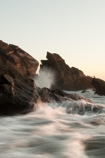 From Coast to Table: Fresh Seafood Dishes in Portuguese Dining